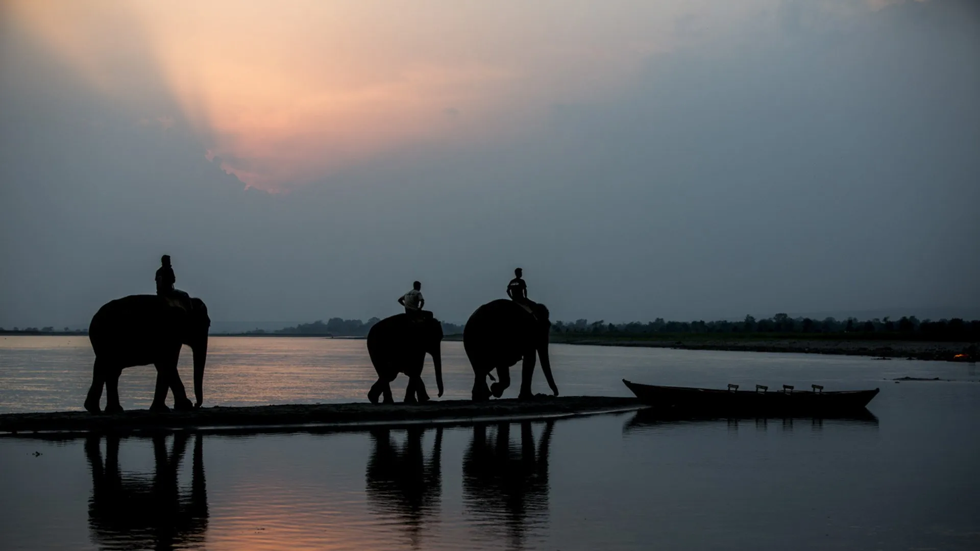 Chitwan