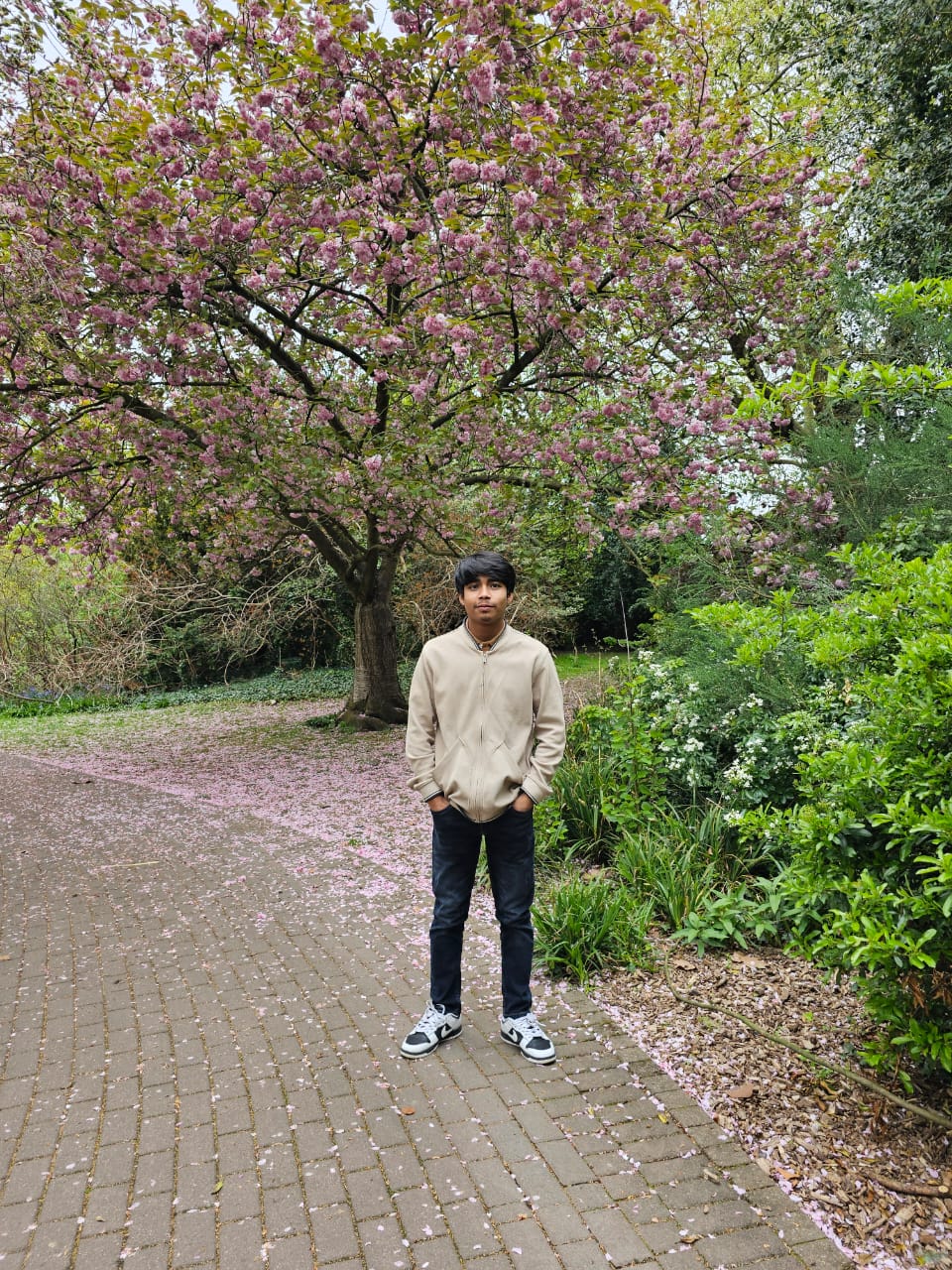 Nazmul Arafat Roki