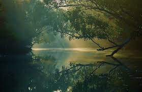 Sundarbans